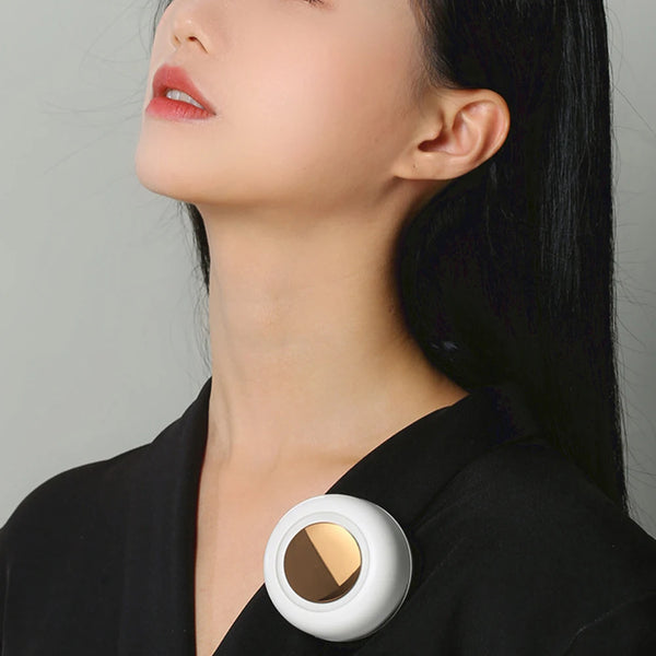 Portable Electric Fan Clip