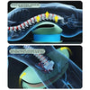 Intelligent Lumbar Massager – Electric Waist Traction Device with Heat & Vibration