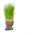 SearchFindOrder 1pcs-NO.01 DIY Grass Head Doll Indoor Decoration