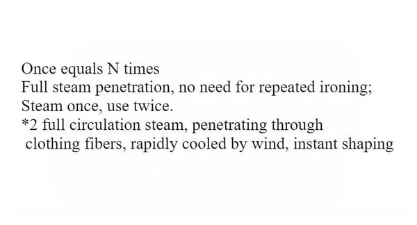 SearchFindOrder 220V Handheld Ironing Machine