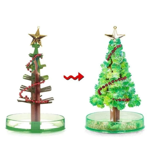 SearchFindOrder 3-in-1 Magic Growth Christmas Tree Kit DIY Festive Fun for Adults and Kids