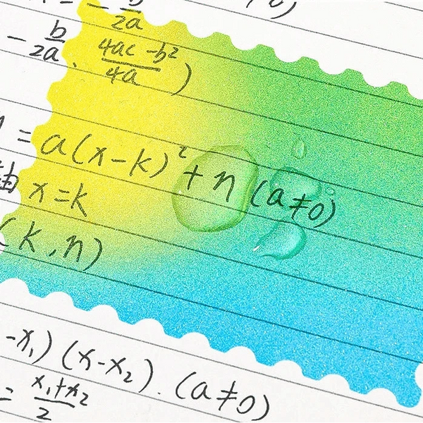 SearchFindOrder 315 Sheet Set 1 Fun Sticky Notes