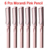 SearchFindOrder 6 morandi pink Magic Flow 6-Piece Infinite Inkless Fountain Pen Set for Art, Sketching, and Kids' Gifts