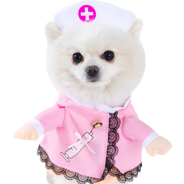 SearchFindOrder 8 / XL Halloween Pet Costumes