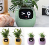 SearchFindOrder AI Plant Pot