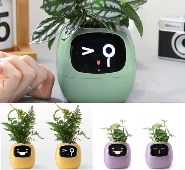 SearchFindOrder AI Plant Pot