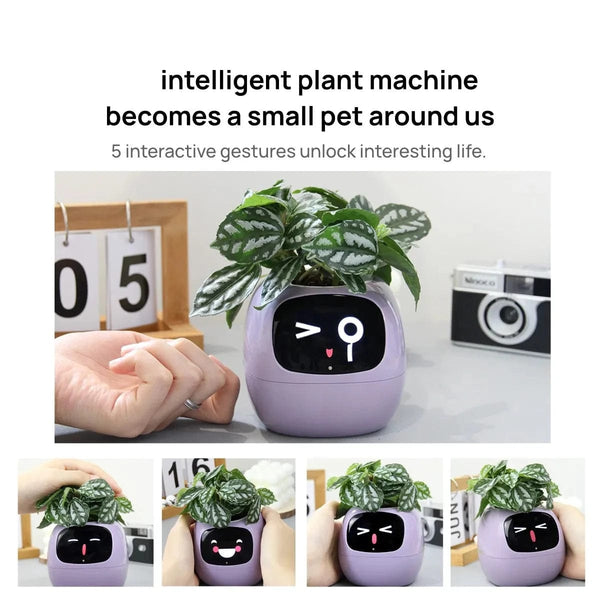 SearchFindOrder AI Plant Pot