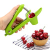 SearchFindOrder Cherry Core Seed Remover