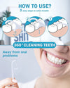 SearchFindOrder Dental Floss Pick Dispenser