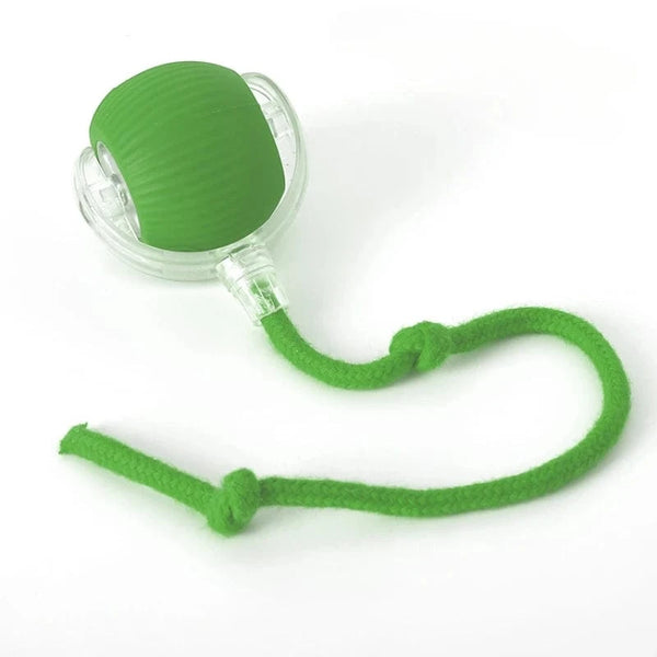 SearchFindOrder Green Smart Cat Interactive Ball