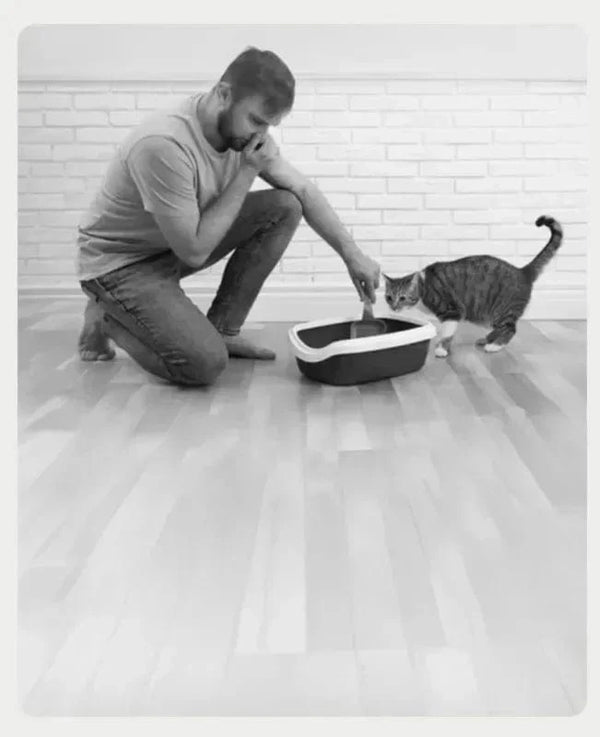 SearchFindOrder Grey with 1 dryer and App Smart Cat Litter Box with Dryer and App