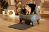 SearchFindOrder Grey with 1 dryer and App Smart Cat Litter Box with Dryer and App