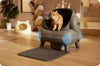 SearchFindOrder Grey with 1 dryer and App Smart Cat Litter Box with Dryer and App