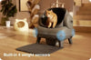SearchFindOrder Grey with 1 dryer and App Smart Cat Litter Box with Dryer and App