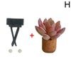 SearchFindOrder H 3D Artificial Plants Shape Innovative Car Fragrance Sculpt