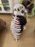 SearchFindOrder Head skeleton 75cm Dinosaur Skeleton Wearable Mask