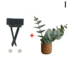SearchFindOrder I 3D Artificial Plants Shape Innovative Car Fragrance Sculpt