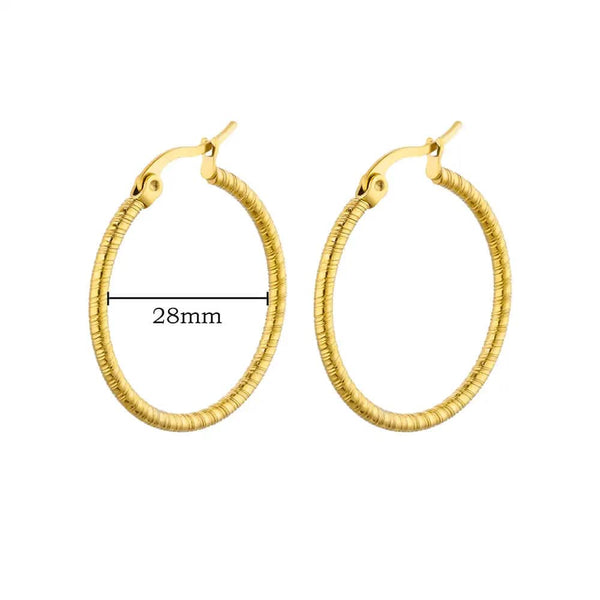 SearchFindOrder jewelry Chunky Hoop Earrings