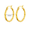 SearchFindOrder jewelry Chunky Hoop Earrings