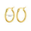 SearchFindOrder jewelry Chunky Hoop Earrings
