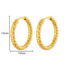 SearchFindOrder jewelry Chunky Hoop Earrings