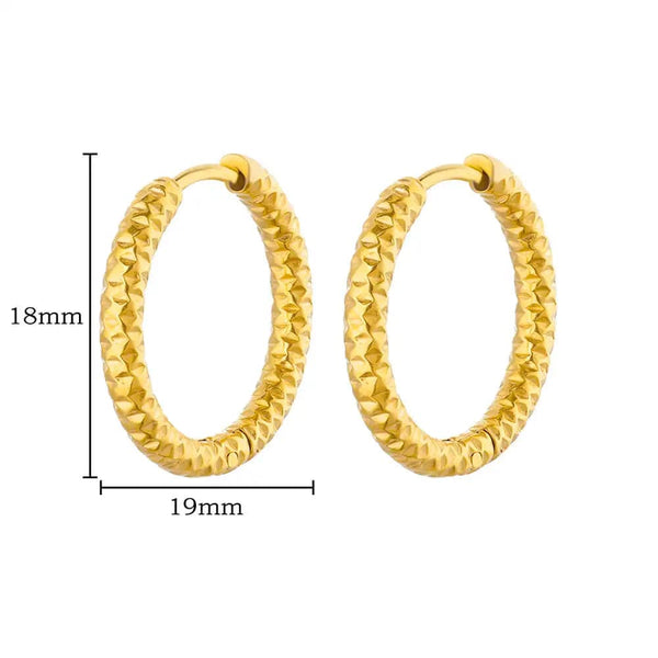 SearchFindOrder jewelry Chunky Hoop Earrings