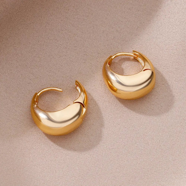 SearchFindOrder jewelry Chunky Hoop Earrings