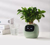 SearchFindOrder LightGreen AI Plant Pot