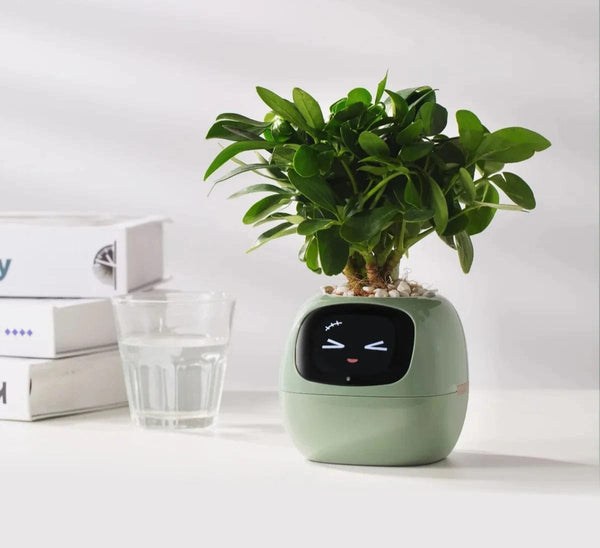 SearchFindOrder LightGreen AI Plant Pot