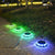 SearchFindOrder Multicolor / China LED Solar Glow Path lights (4 Pcs)