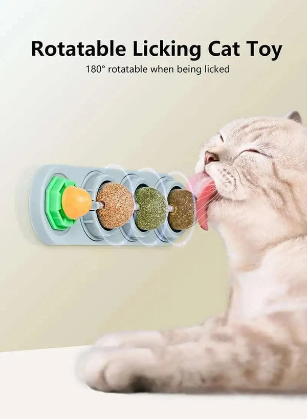 SearchFindOrder Natural Catnip Toys
