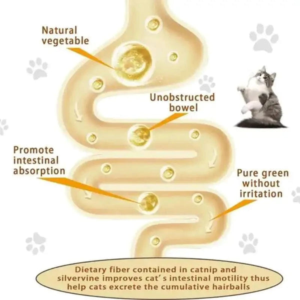 SearchFindOrder Natural Catnip Toys