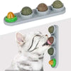 SearchFindOrder Natural Catnip Toys