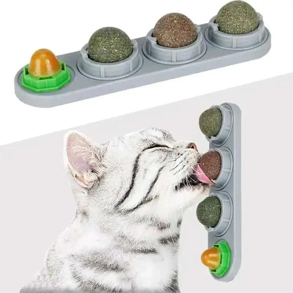 SearchFindOrder Natural Catnip Toys