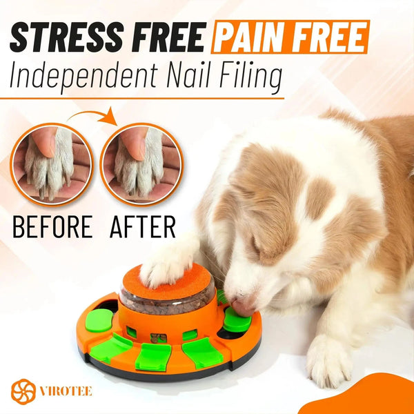 SearchFindOrder Orange Pet Puzzle Slow Feeder & Nail Polish Scraper