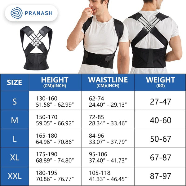 SearchFindOrder Posture Pro Flex Ergonomic Back Support System