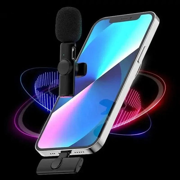 SearchFindOrder Professional Wireless Microphone