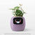 SearchFindOrder Purple AI Plant Pot