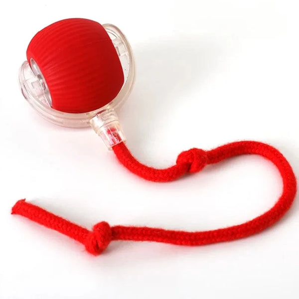 SearchFindOrder Red Smart Cat Interactive Ball