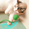 SearchFindOrder Smart Cat Interactive Ball