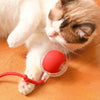 SearchFindOrder Smart Cat Interactive Ball
