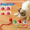 SearchFindOrder Smart Cat Interactive Ball