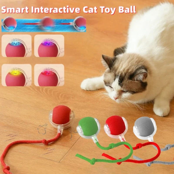 SearchFindOrder Smart Cat Interactive Ball