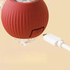 SearchFindOrder Smart Cat Interactive Ball