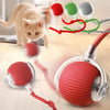 SearchFindOrder Smart Cat Interactive Ball