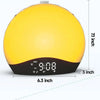 SearchFindOrder Sunlight Alarm Clock Sunlight Alarm Clock