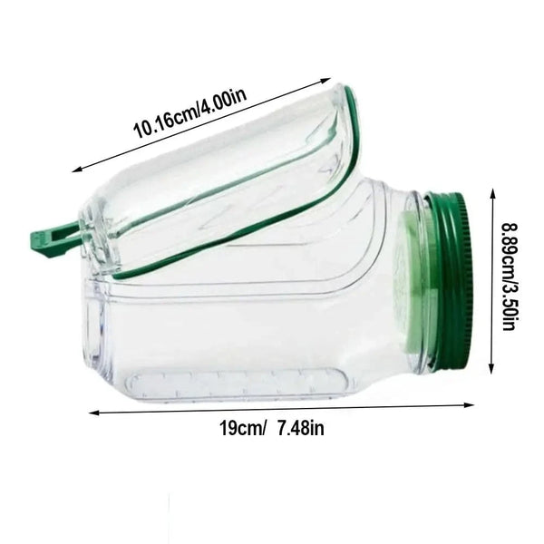 SearchFindOrder Transparent Green All-In-One Fresh Salad Bowl