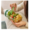 SearchFindOrder Transparent Green All-In-One Fresh Salad Bowl