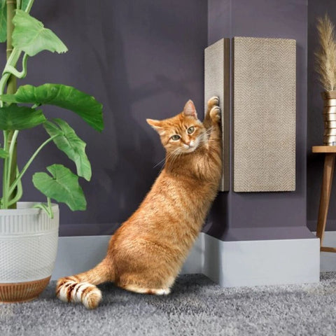 SearchFindOrder Wall and Couch Corner Cat Scratching Pad