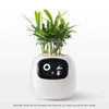 SearchFindOrder White AI Plant Pot